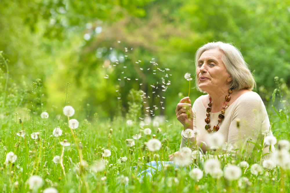 Local greenery and low crime rates may reduce dementia risk factors
